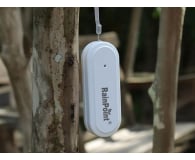 Rainpoint Inteligentny termo-higrometr Smart+ - 1540737 - zdjęcie 7